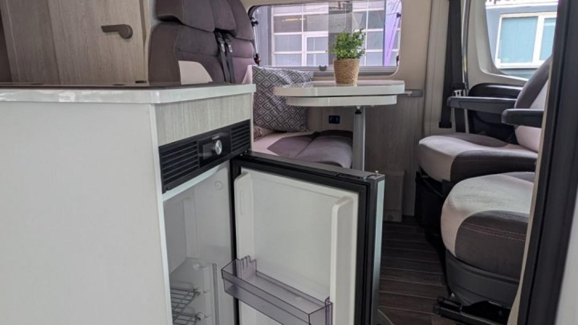 Roller Team Livingstone Duo  (Automatik)