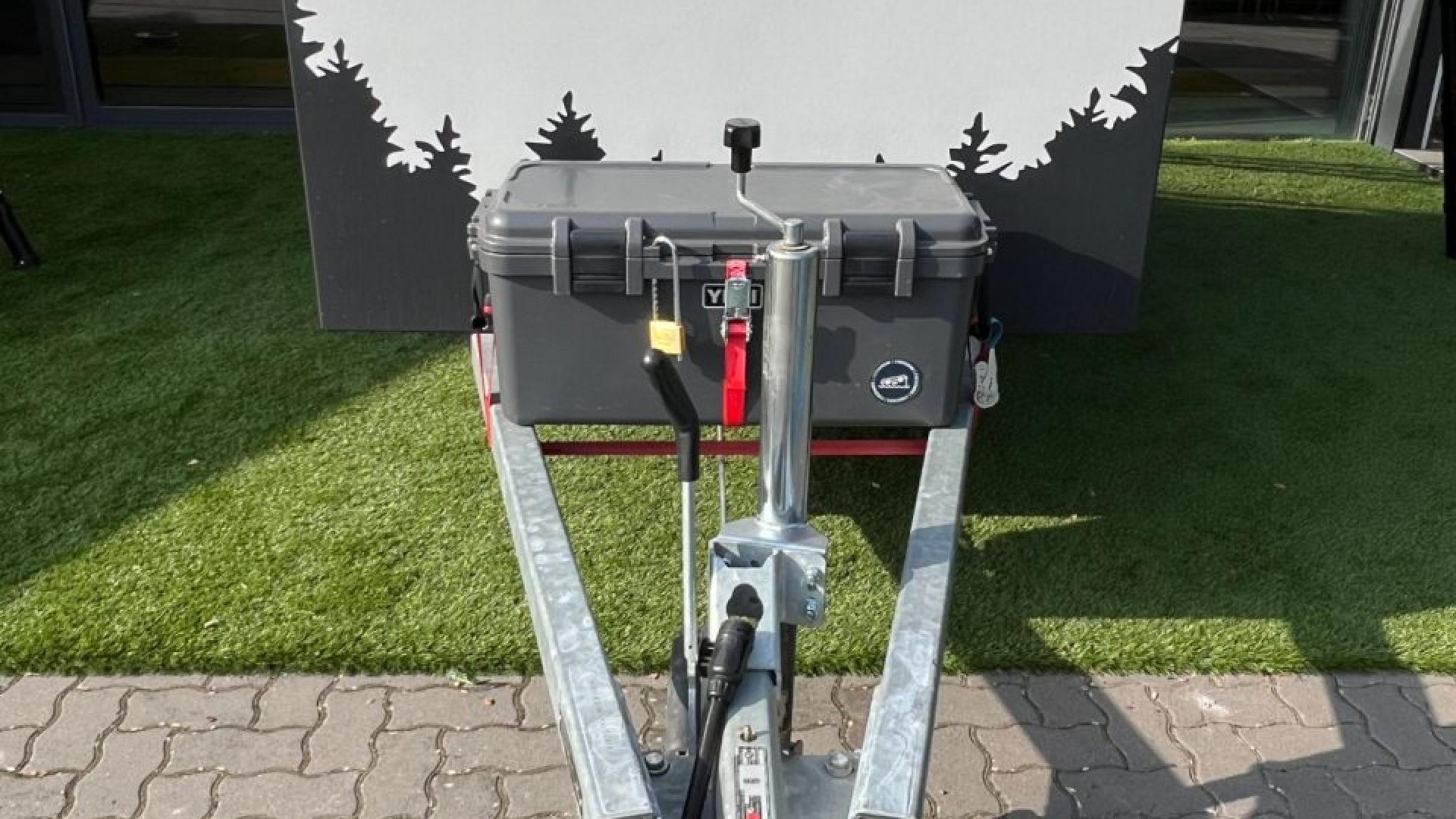 Andere /Kuckoo Bruno