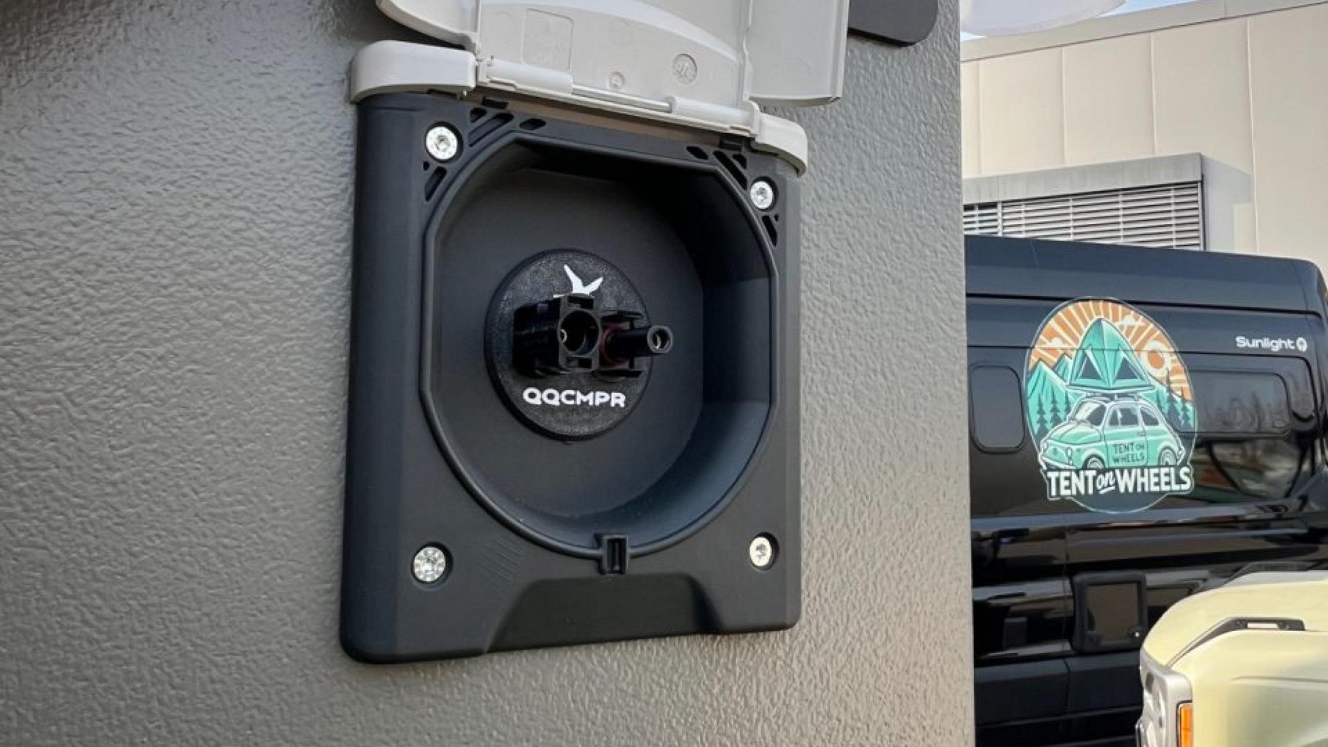 Andere /Kuckoo Bruno