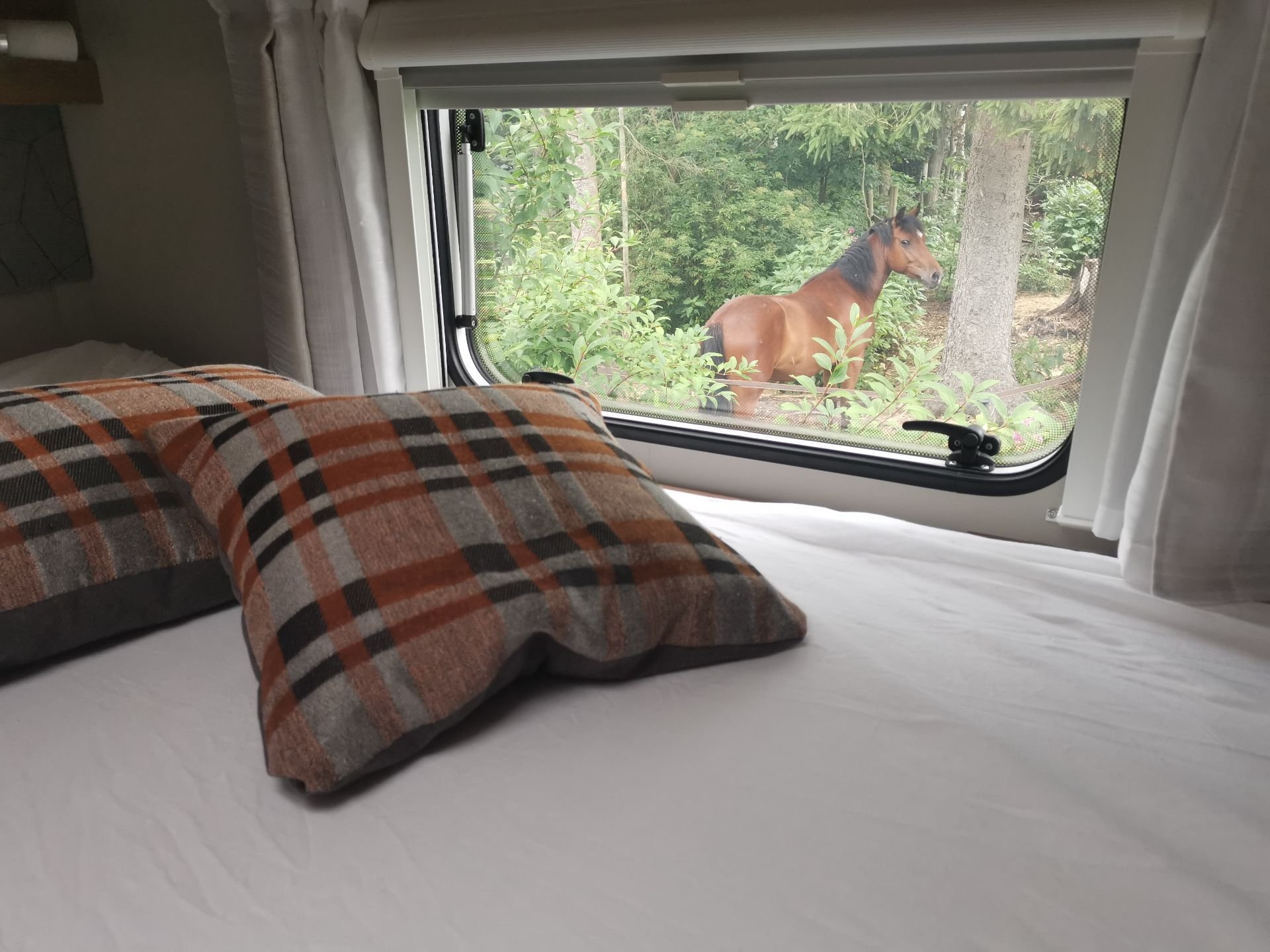 Weinsberg CaraCompact 600 MEG